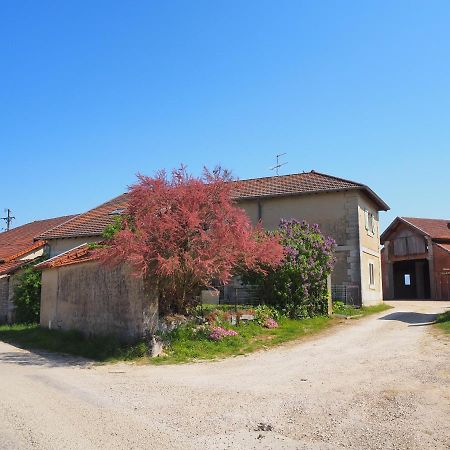 Le Gite Du Haut Châtillon-la-Palud Eksteriør billede