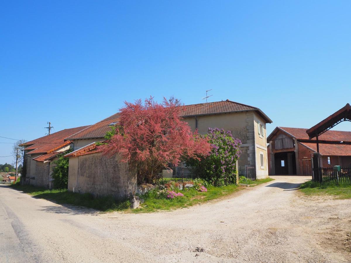 Le Gite Du Haut Châtillon-la-Palud Eksteriør billede